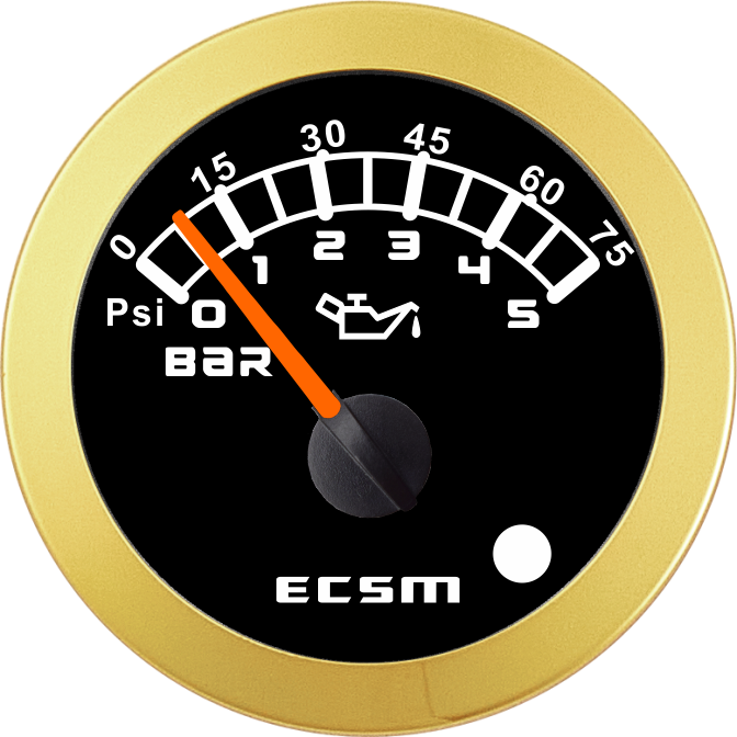 ECT-5Bar壓力表-帶報警