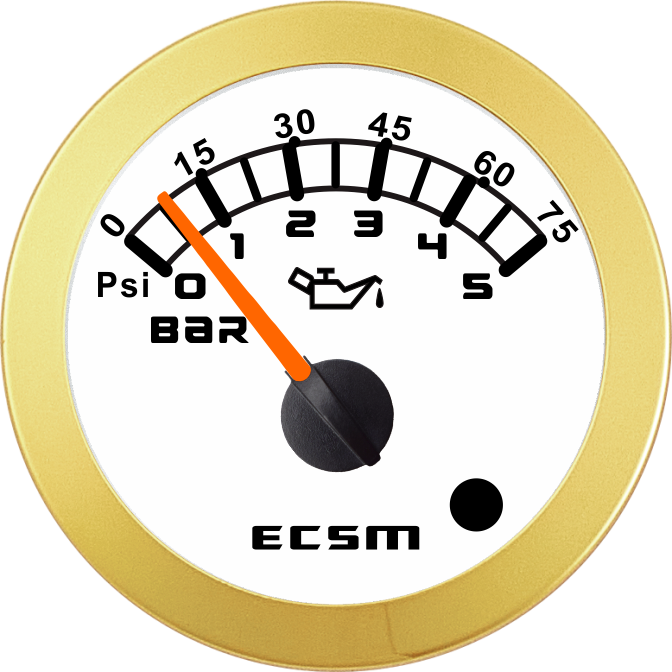 ECT-5Bar壓力表-帶報警